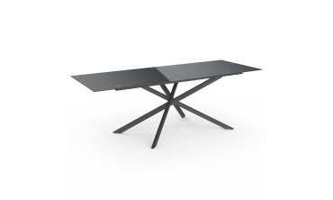 Table de jardin plateau en verre trempé noir et pieds croisés 240cm Table de jardin plateau en verre trempé noir et pieds croisés 240cm
