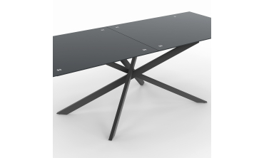 Table de jardin plateau en verre trempé noir et pieds croisés 240cm Table de jardin plateau en verre trempé noir et pieds croisés 240cm