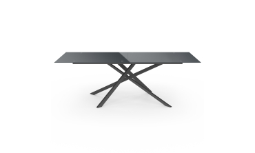 Table de jardin plateau en verre trempé noir et pieds croisés 240cm Table de jardin plateau en verre trempé noir et pieds croisés 240cm