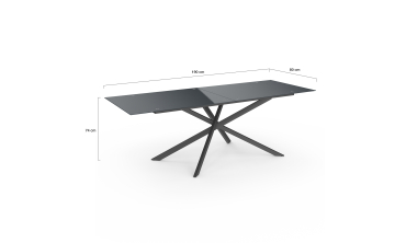 Table de jardin plateau en verre trempé noir et pieds croisés 240cm Table de jardin plateau en verre trempé noir et pieds croisés 240cm