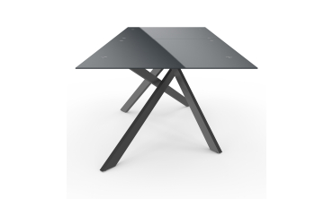 Table de jardin plateau en verre trempé noir et pieds croisés 240cm Table de jardin plateau en verre trempé noir et pieds croisés 240cm