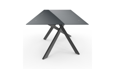Table de jardin plateau en verre trempé noir et pieds croisés 240cm Table de jardin plateau en verre trempé noir et pieds croisés 240cm