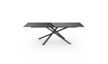 Table de jardin plateau en verre trempé noir et pieds croisés 240cm Table de jardin plateau en verre trempé noir et pieds croisés 240cm