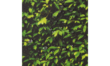 Paravent rétractable occultant 400x180cm motif feuillage Paravent rétractable occultant 400x180cm motif feuillage